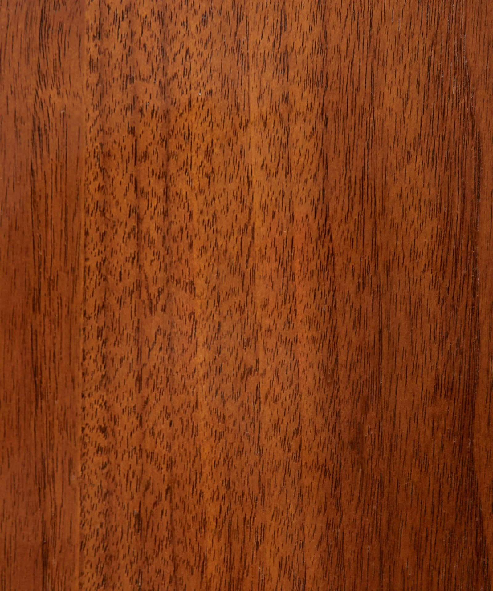 Miniatura 13