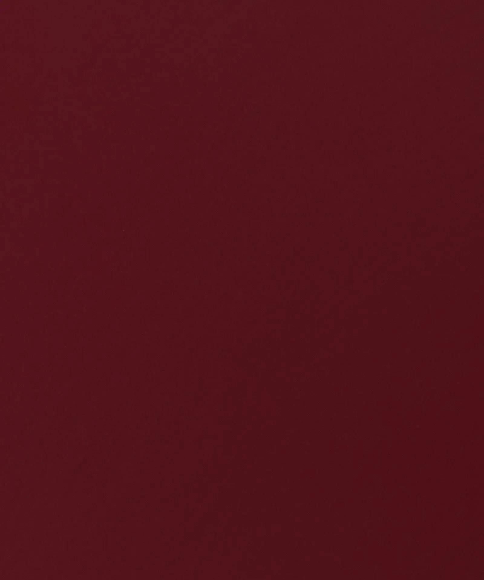 Miniatura 19